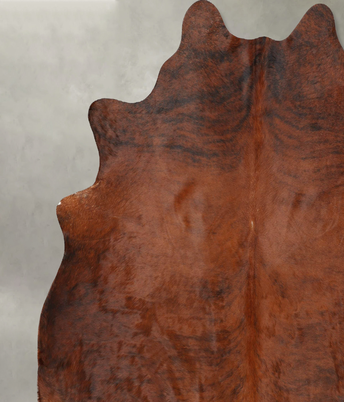 Medium Brindle XX-Large Brazilian Cowhide Rug 7'4"H x 7'0"W #B30164 by Hudson Hides