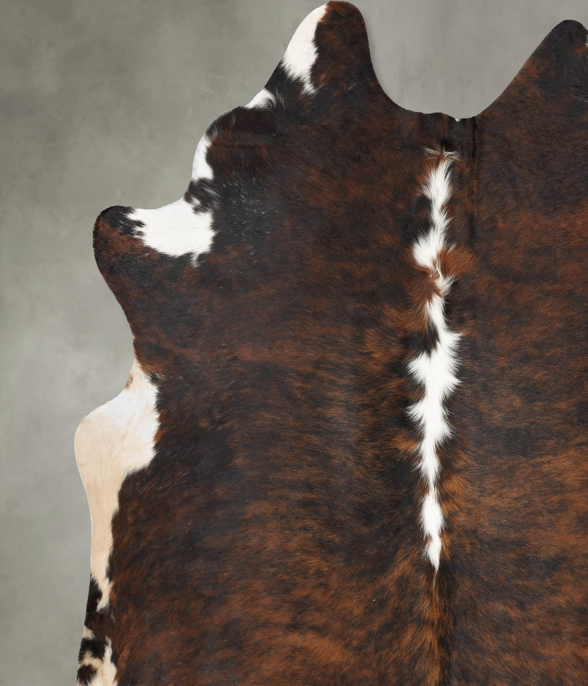 Tricolor XX-Large Brazilian Cowhide Rug 7'9"H x 7'2"W #B30167 by Hudson Hides