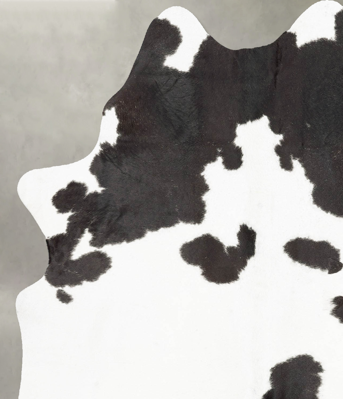 Black and White Large Brazilian Cowhide Rug 6'4"H x 5'0"W #B30202 by Hudson Hides