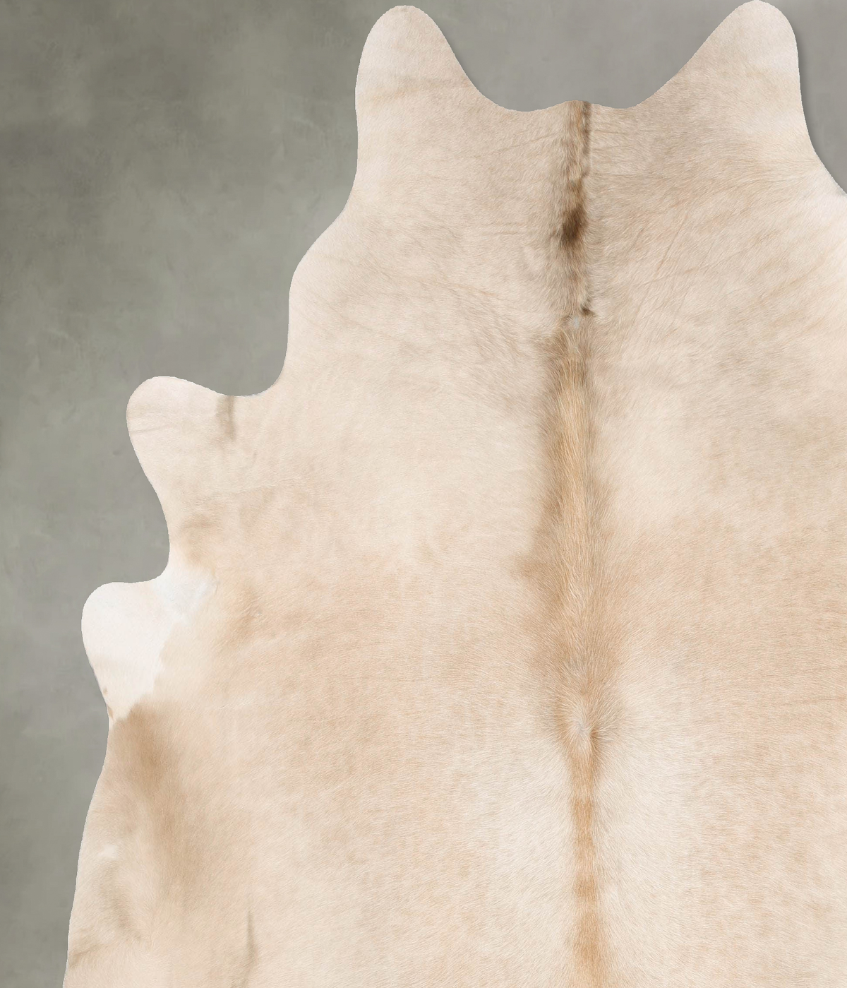 Champagne XX-Large Brazilian Cowhide Rug 8'2"H x 7'7"W #B30204 by Hudson Hides