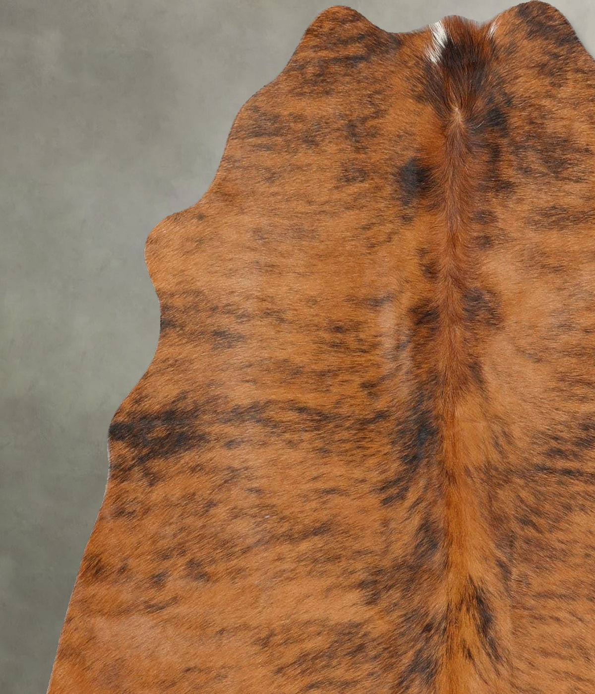 Medium Brindle Medium Brazilian Cowhide Rug 4'11"H x 4'6"W #B30212 by Hudson Hides