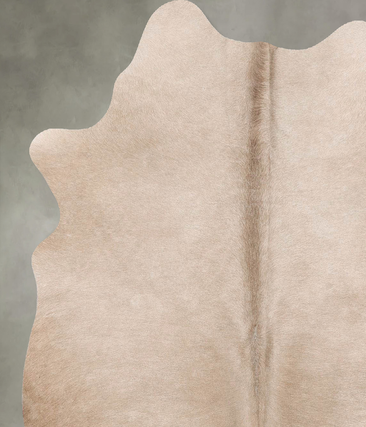 Taupe Medium Brazilian Cowhide Rug 5'10"H x 4'6"W #B30217 by Hudson Hides