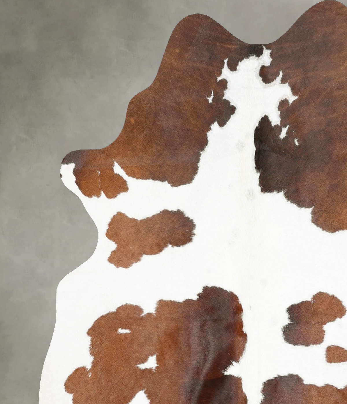 Chocolate and White Medium Brazilian Cowhide Rug 5'9"H x 4'10"W #B30219 by Hudson Hides