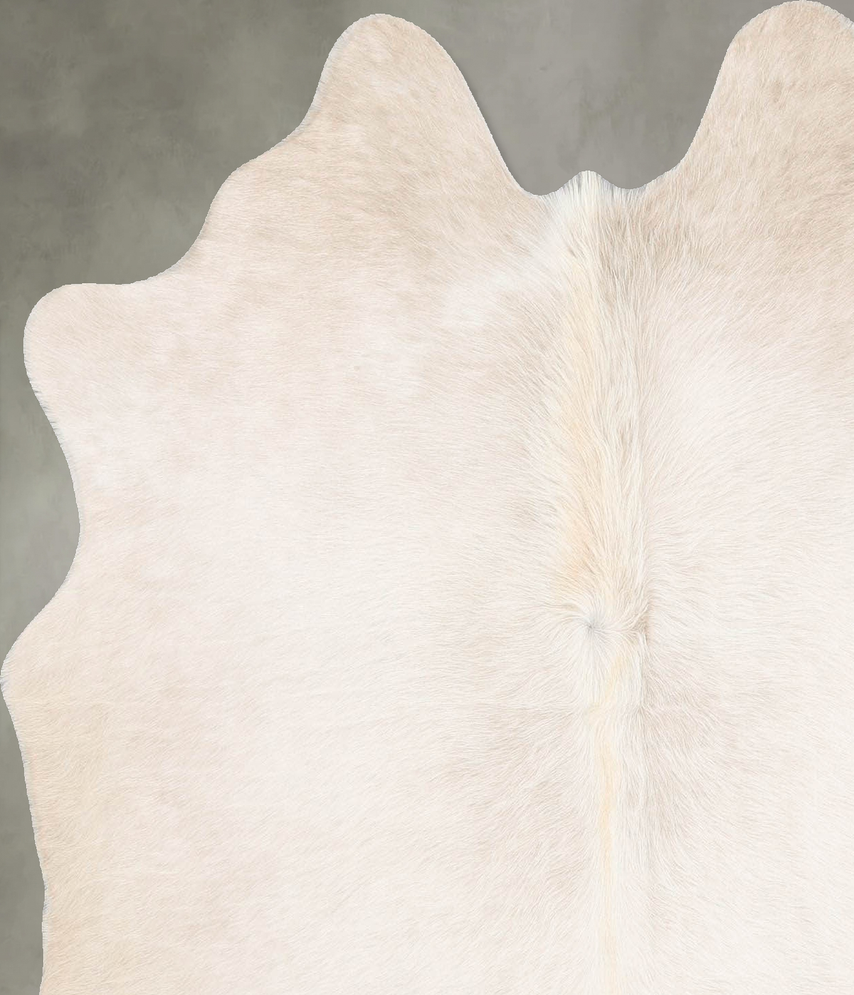 Champagne Medium Brazilian Cowhide Rug 5'8"H x 4'11"W #B30223 by Hudson Hides