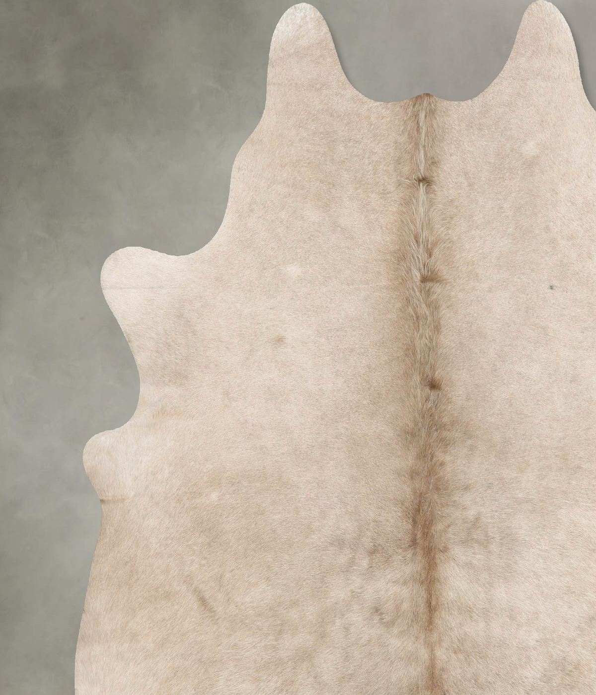 Champagne X-Large Brazilian Cowhide Rug 7'5"H x 6'6"W #B30224 by Hudson Hides