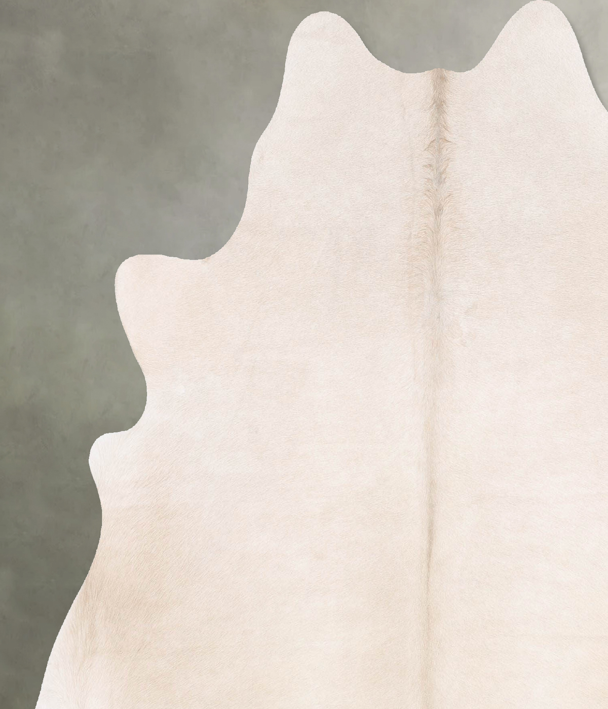 Champagne Large Brazilian Cowhide Rug 6'7"H x 5'11"W #B30225 by Hudson Hides