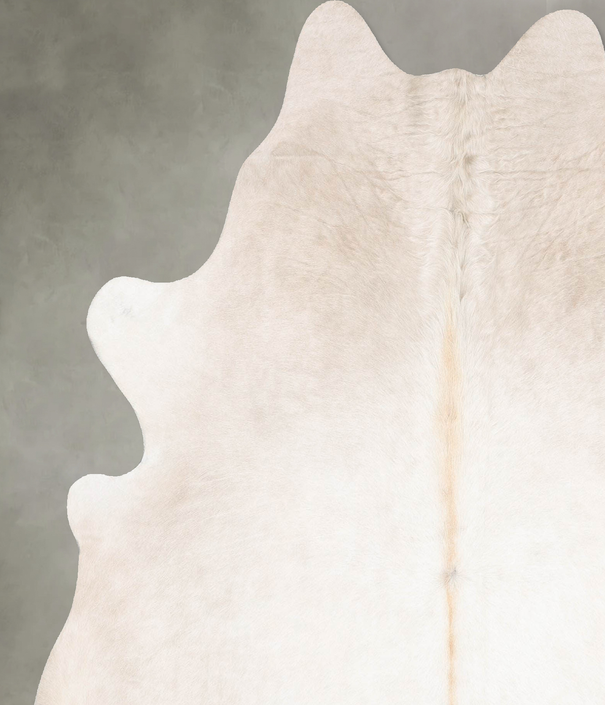 Champagne X-Large Brazilian Cowhide Rug 6'11"H x 6'2"W #B30236 by Hudson Hides