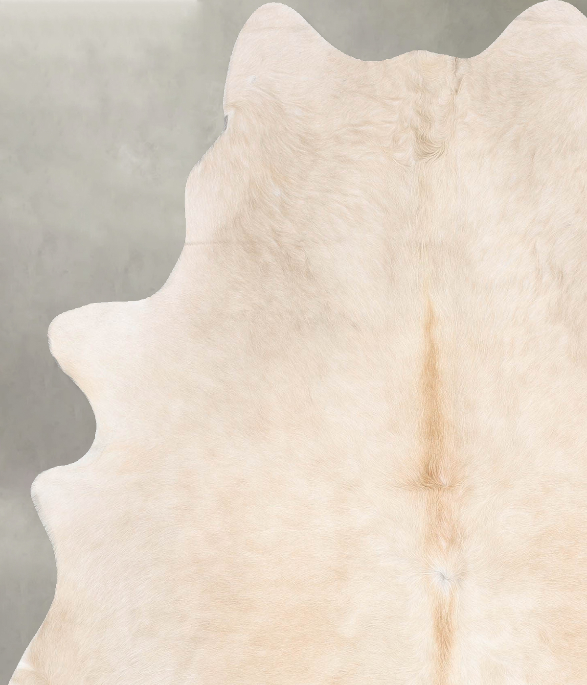 Champagne X-Large Brazilian Cowhide Rug 7'4"H x 5'8"W #B30237 by Hudson Hides