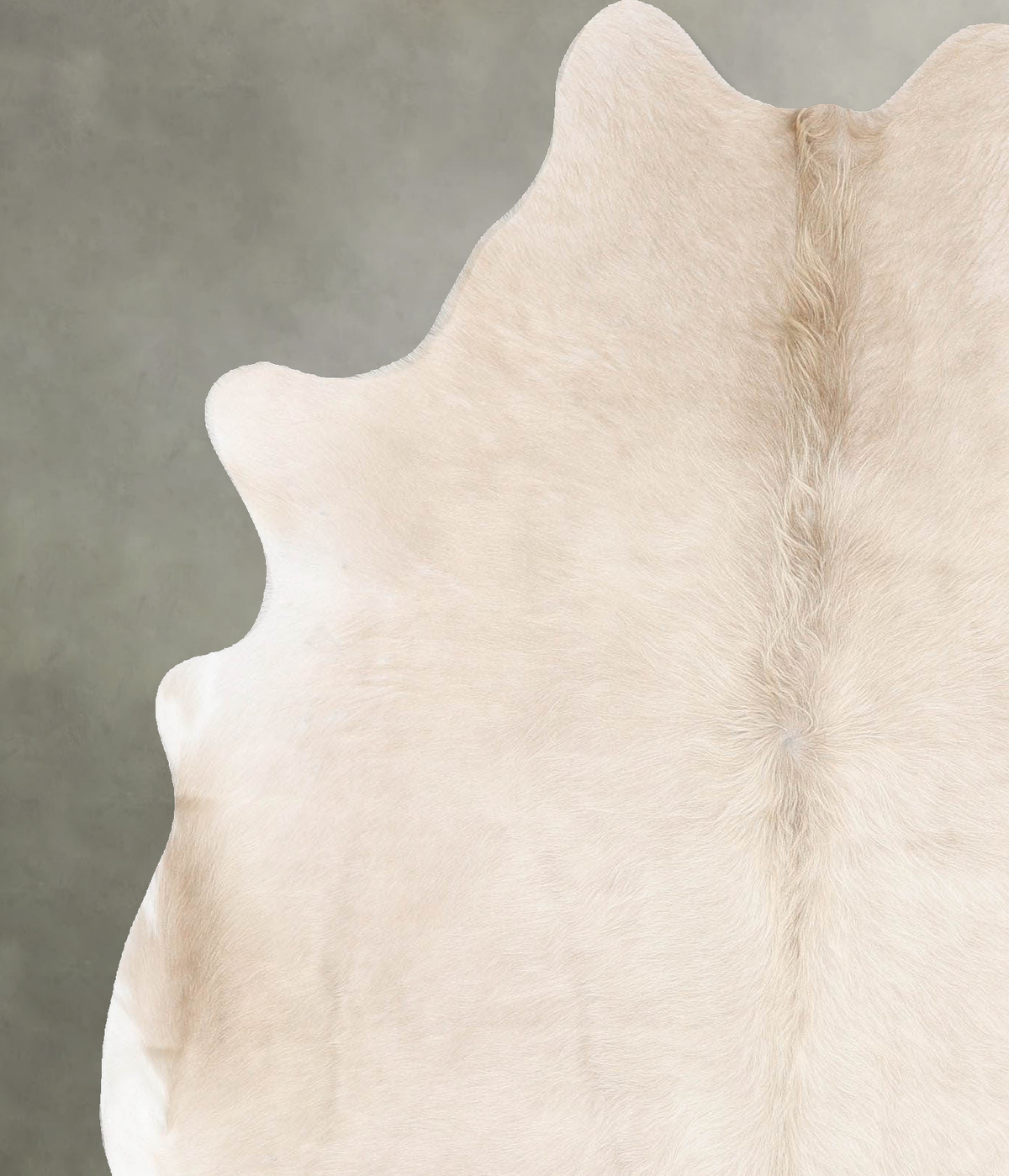 Champagne Large Brazilian Cowhide Rug 6'7"H x 5'4"W #B30240 by Hudson Hides