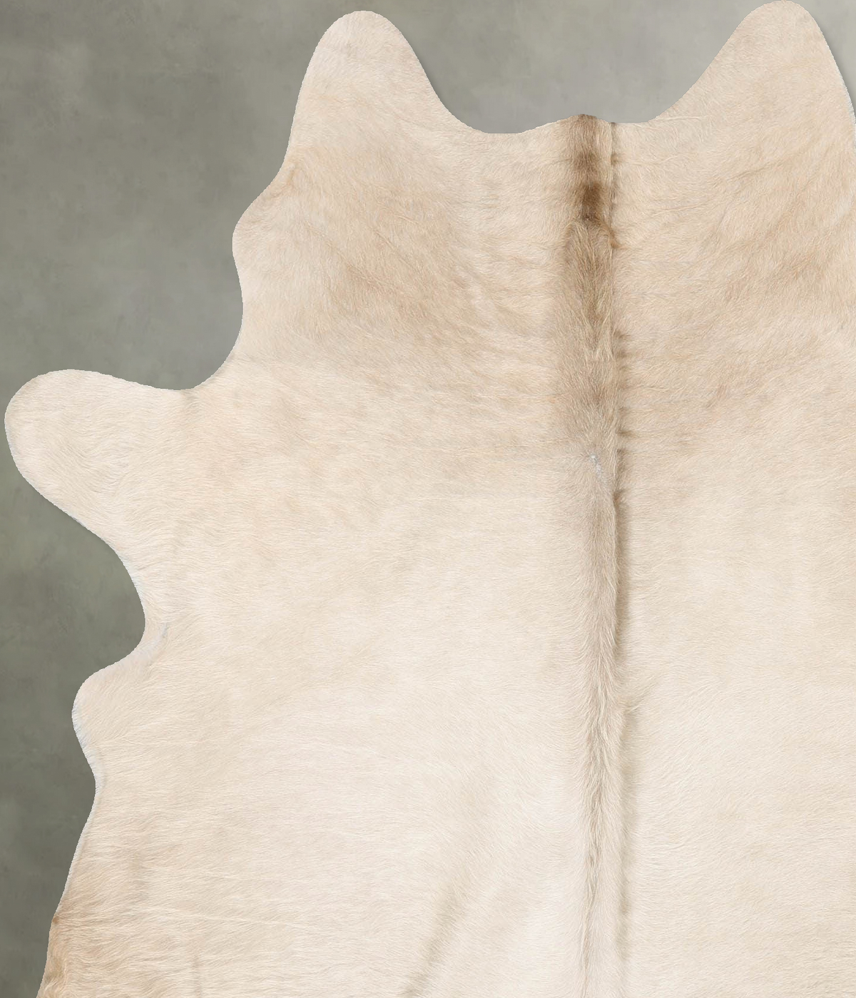 Champagne Large Brazilian Cowhide Rug 6'7"H x 5'8"W #B30241 by Hudson Hides