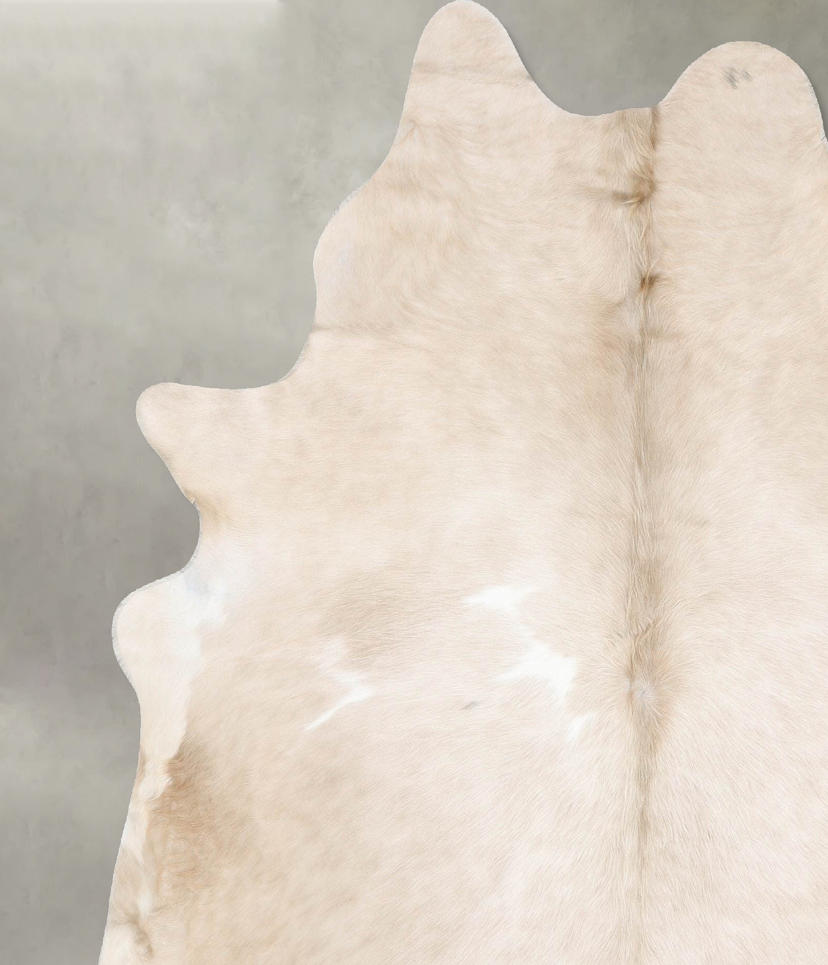 Champagne X-Large Brazilian Cowhide Rug 7'6"H x 6'2"W #B30243 by Hudson Hides
