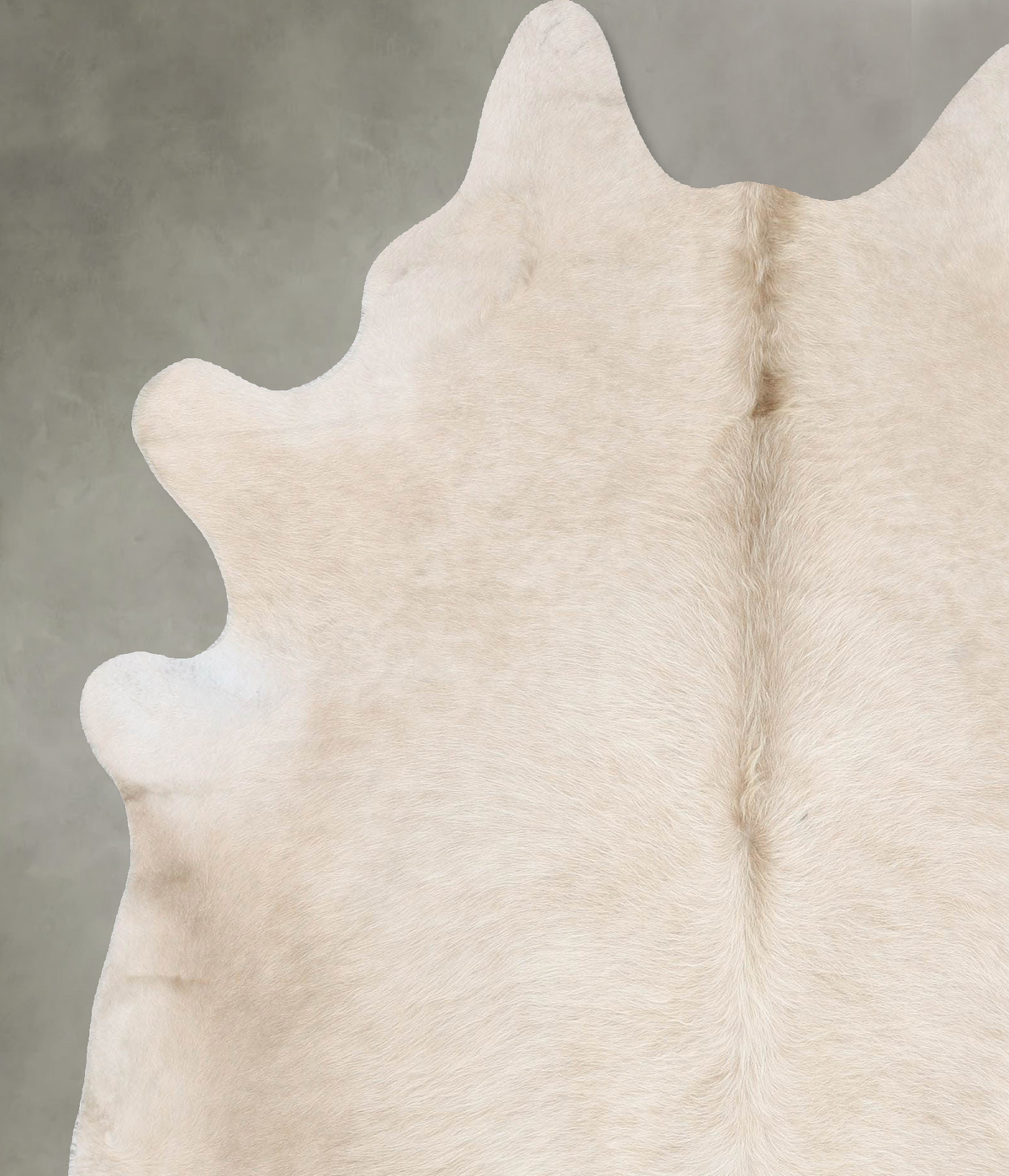Champagne X-Large Brazilian Cowhide Rug 7'7"H x 6'2"W #B30246 by Hudson Hides