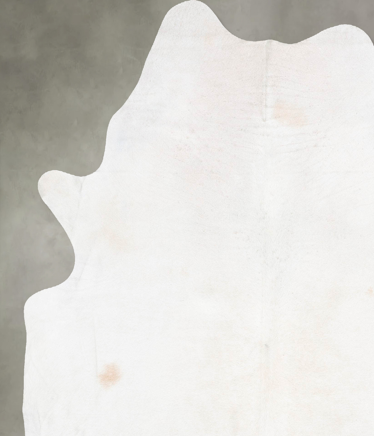 Champagne XX-Large Brazilian Cowhide Rug 8'2"H x 6'5"W #B30247 by Hudson Hides