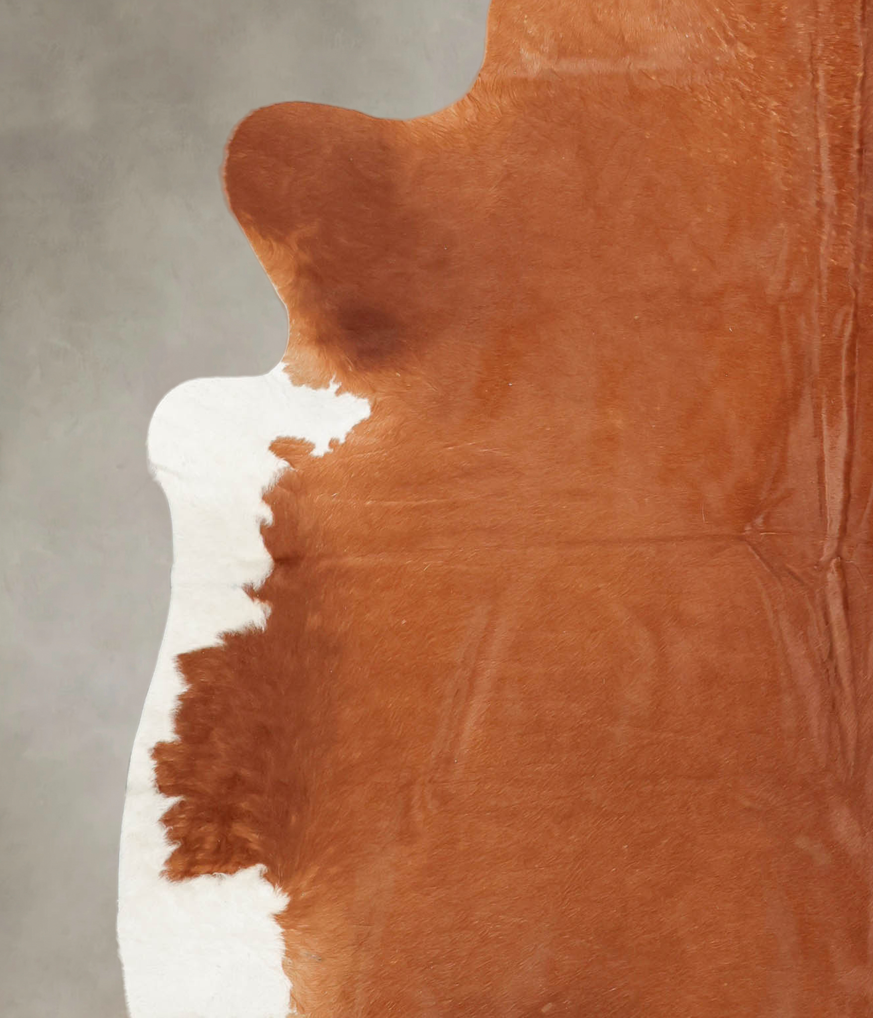 Solid Brown Cowhide Rug #B3025