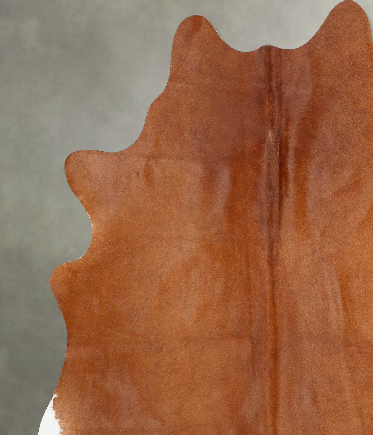 Solid Brown X-Large Brazilian Cowhide Rug 6'7"H x 6'6"W #B30251 by Hudson Hides