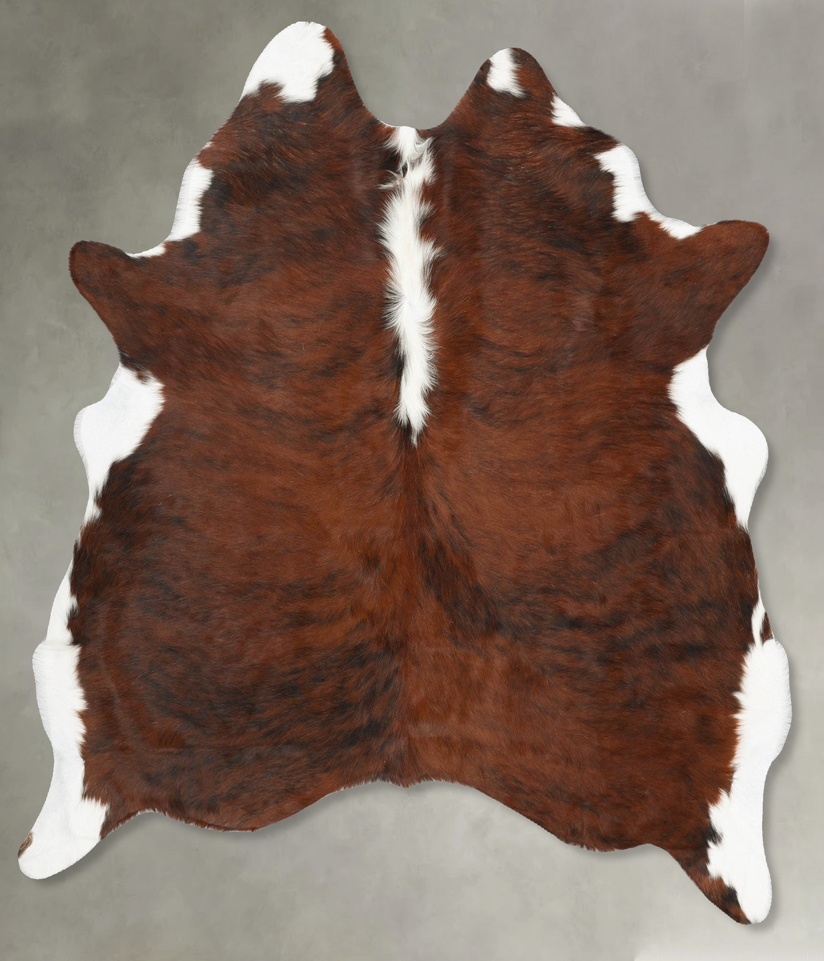Tricolor Cowhide Rug #B30254