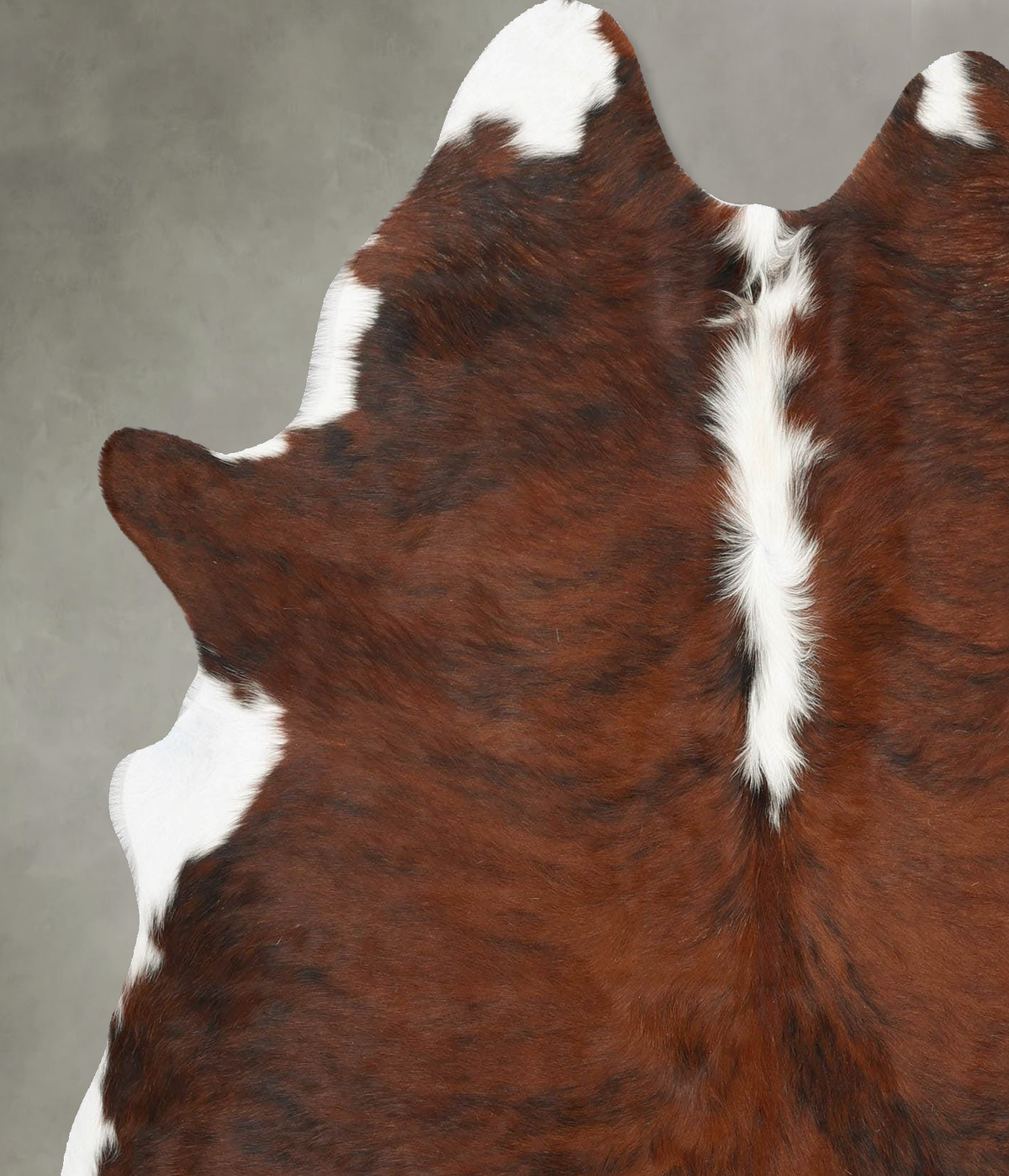 Tricolor Large Brazilian Cowhide Rug 6'4"H x 5'6"W #B30254 by Hudson Hides