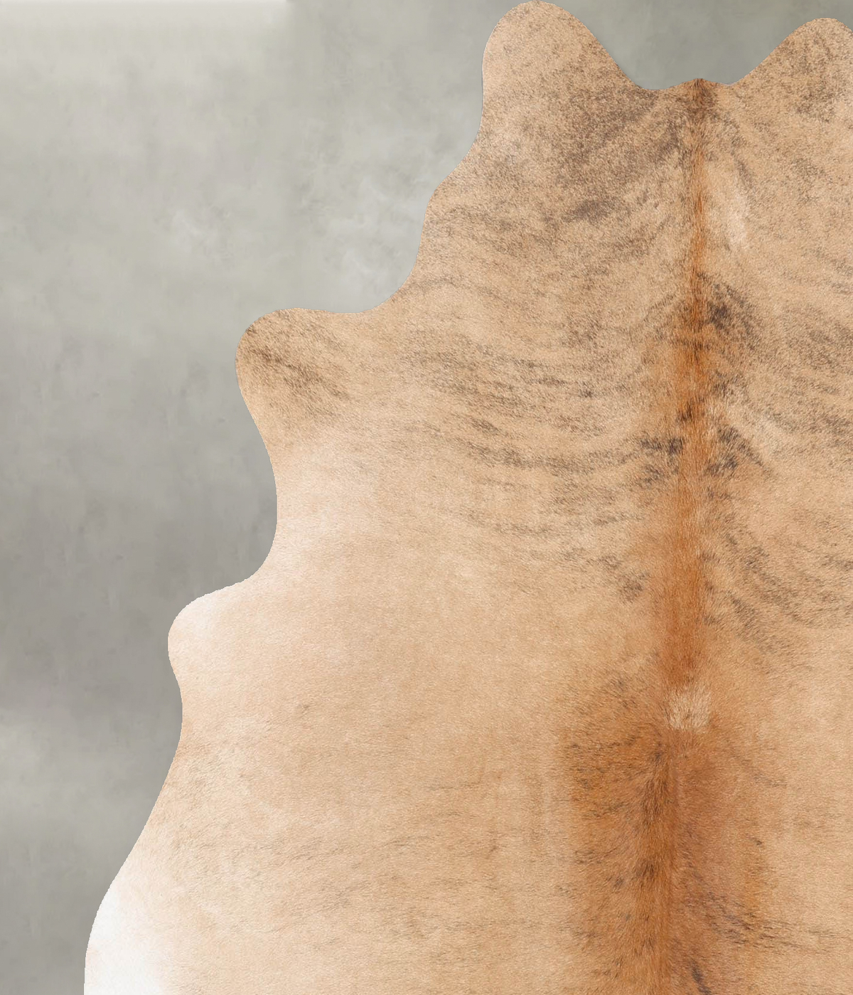 Light Brindle Large Brazilian Cowhide Rug 6'2"H x 5'7"W #B30256 by Hudson Hides