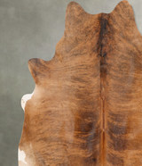 Medium Brindle X-Large Brazilian Cowhide Rug 7'2"H x 6'7"W #B30259 by Hudson Hides