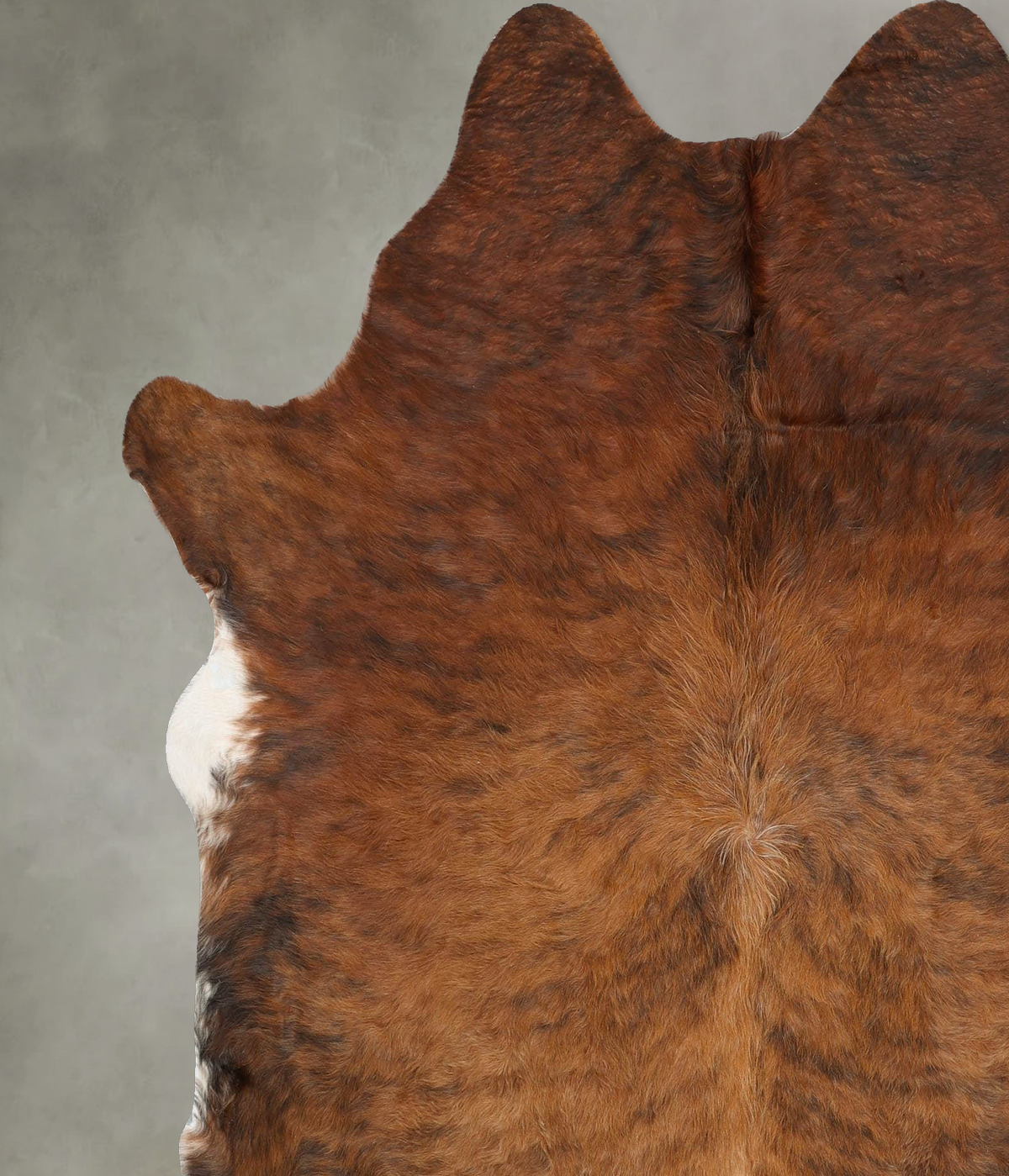 Medium Brindle X-Large Brazilian Cowhide Rug 7'1"H x 6'2"W #B30263 by Hudson Hides