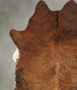 Medium Brindle X-Large Brazilian Cowhide Rug 7'1"H x 6'2"W #B30263 by Hudson Hides