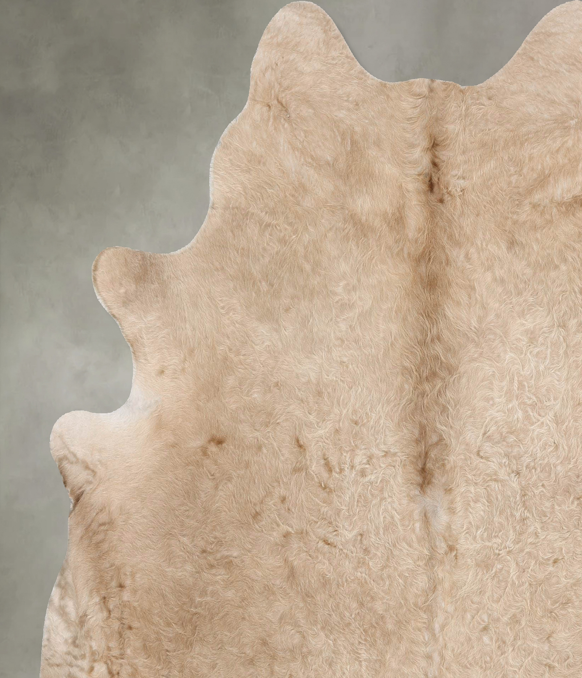 Champagne X-Large Brazilian Cowhide Rug 7'1"H x 6'5"W #B30266 by Hudson Hides