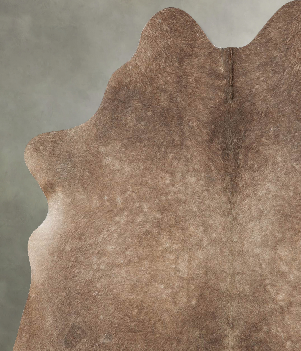 Taupe Medium Brazilian Cowhide Rug 5'0"H x 4'2"W #B30269 by Hudson Hides