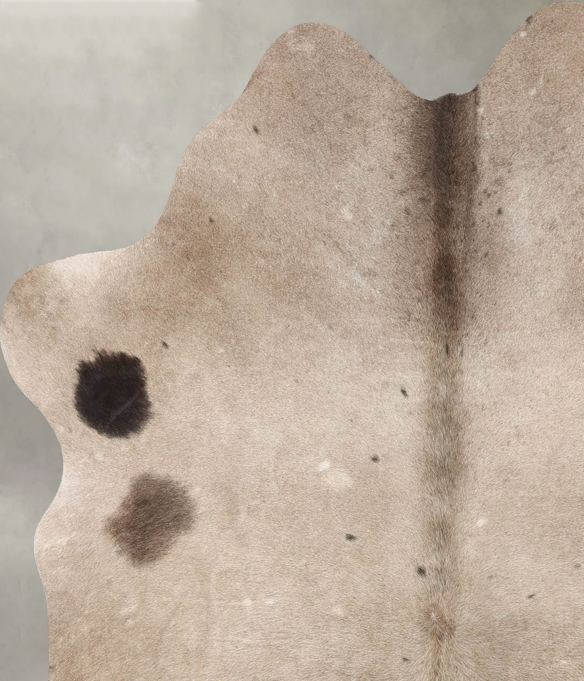 Taupe Medium Brazilian Cowhide Rug 5'5"H x 4'10"W #B30270 by Hudson Hides