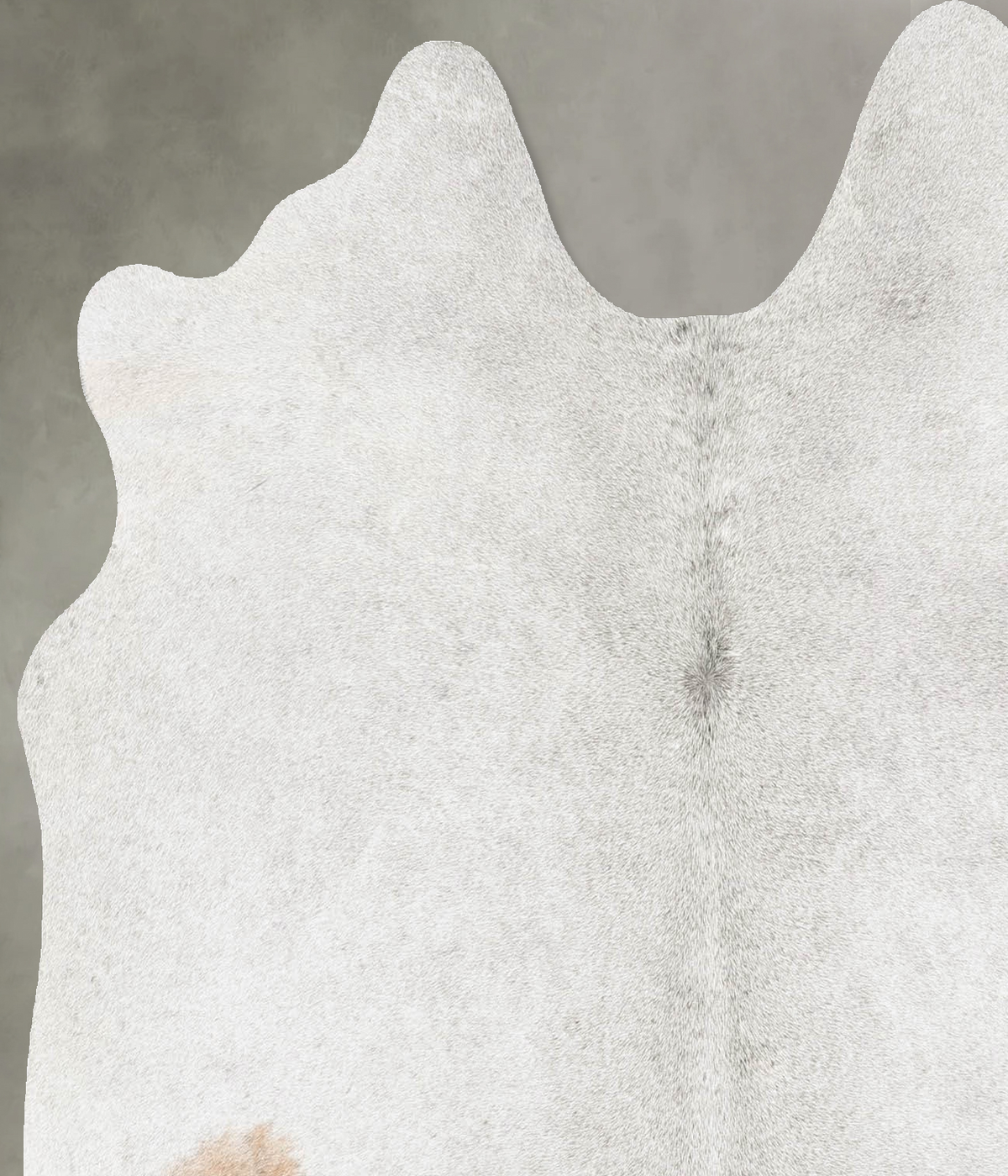 Grey with Beige Medium Brazilian Cowhide Rug 5'4"H x 5'1"W #B30272 by Hudson Hides