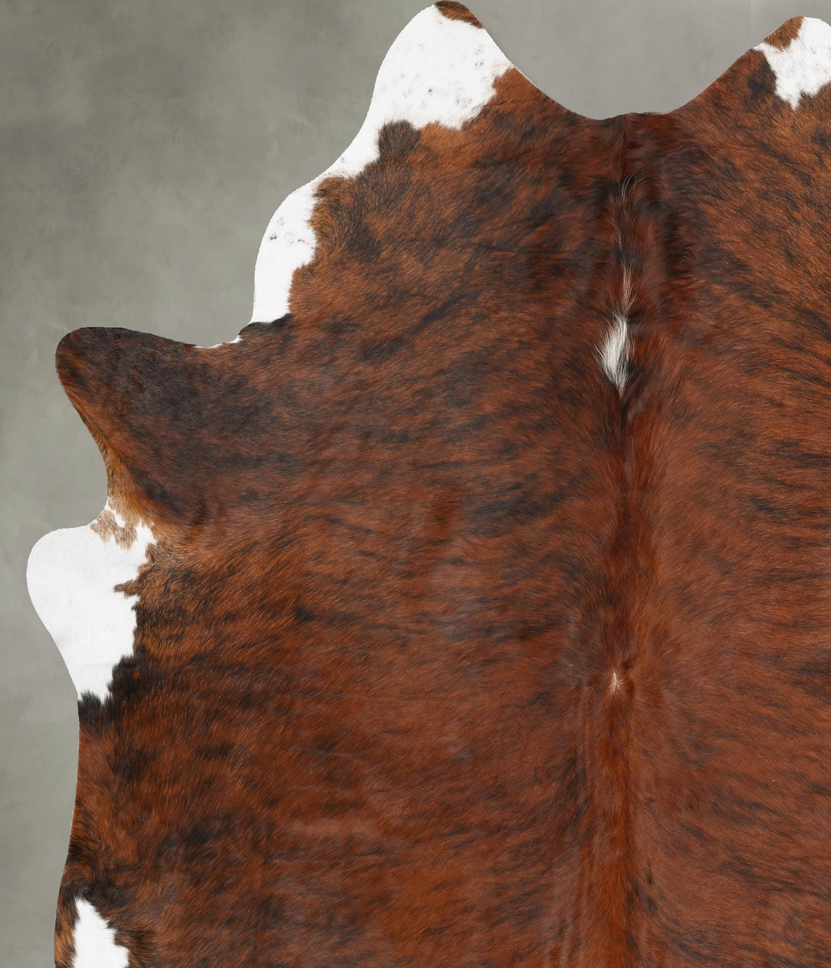 Medium Brindle XX-Large Brazilian Cowhide Rug 7'11"H x 6'7"W #B30283 by Hudson Hides