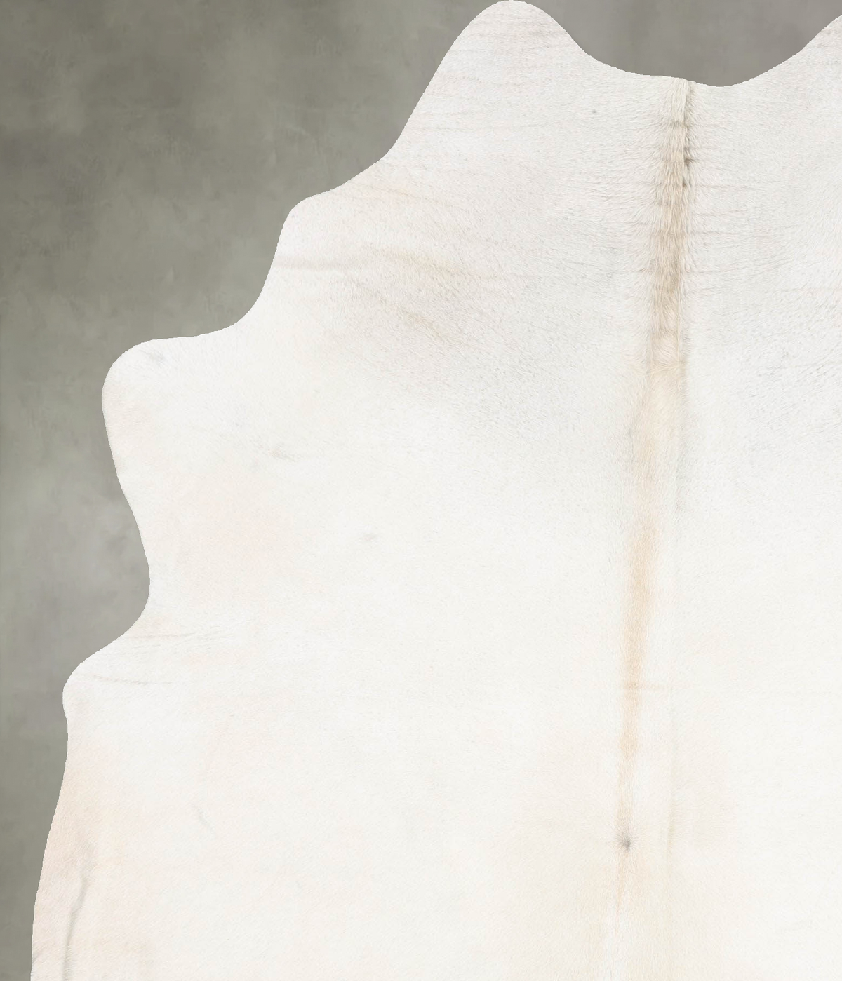 Ivory with Beige X-Large Brazilian Cowhide Rug 8'0"H x 6'1"W #B30287 by Hudson Hides