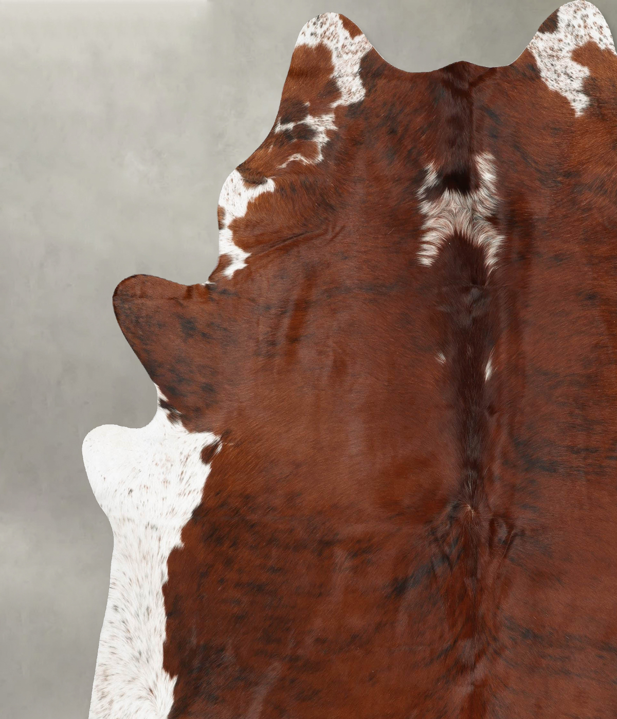 Medium Brindle XX-Large Brazilian Cowhide Rug 8'4"H x 7'6"W #B30288 by Hudson Hides