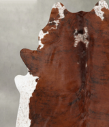 Medium Brindle XX-Large Brazilian Cowhide Rug 8'4"H x 7'6"W #B30288 by Hudson Hides