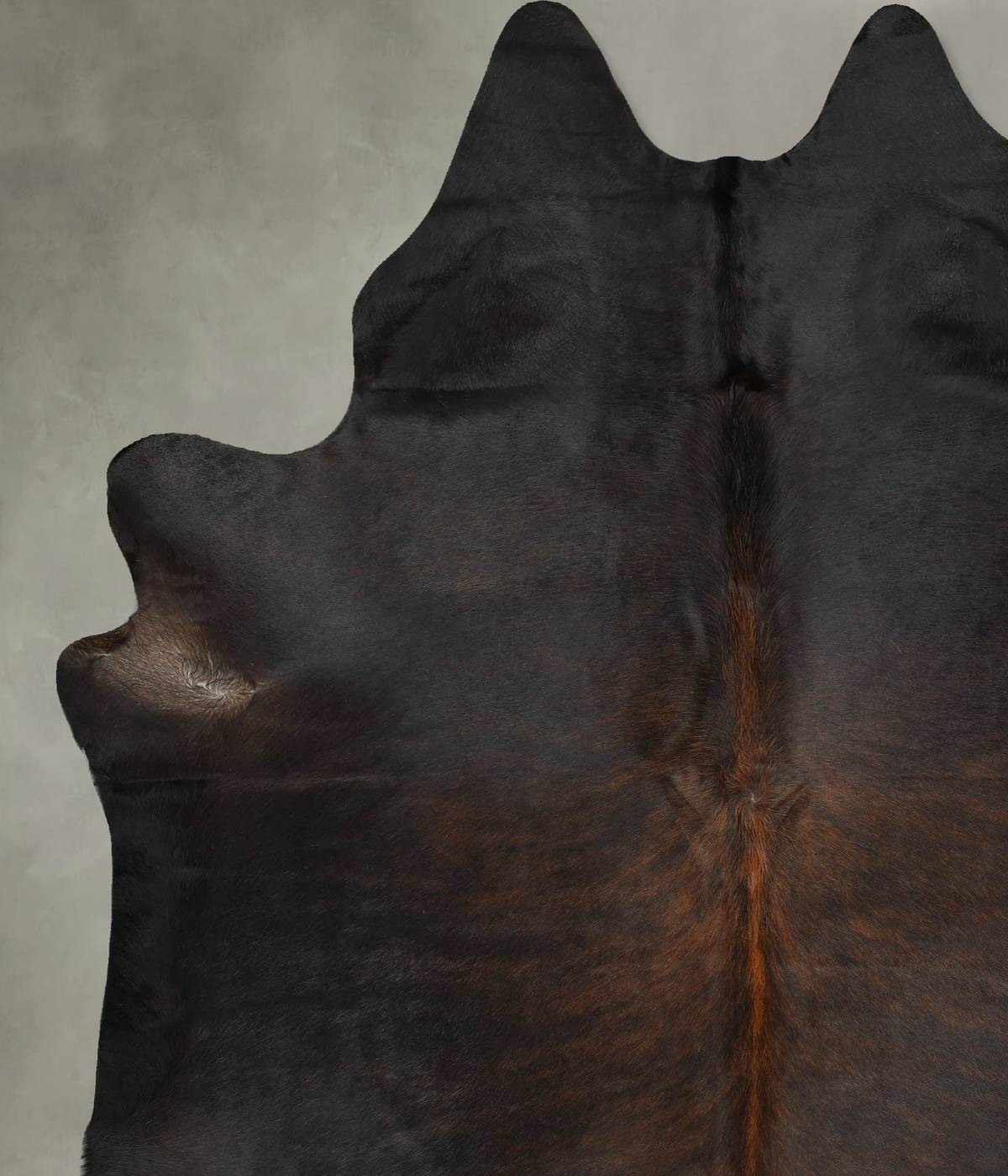 Chocolate XX-Large Brazilian Cowhide Rug 8'4"H x 6'7"W #B30289 by Hudson Hides