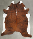 Medium Brindle XX-Large Brazilian Cowhide Rug 8'4"H x 6'9"W #B30291 by Hudson Hides