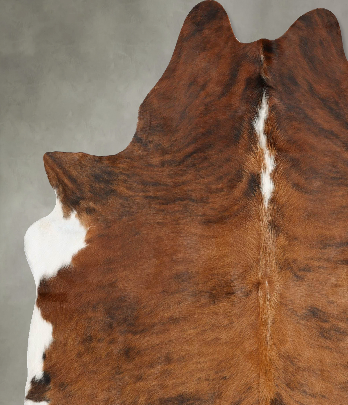 Medium Brindle X-Large Brazilian Cowhide Rug 7'1"H x 6'2"W #B30293 by Hudson Hides