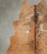 Medium Brindle X-Large Brazilian Cowhide Rug 7'8"H x 6'2"W #B30294 by Hudson Hides
