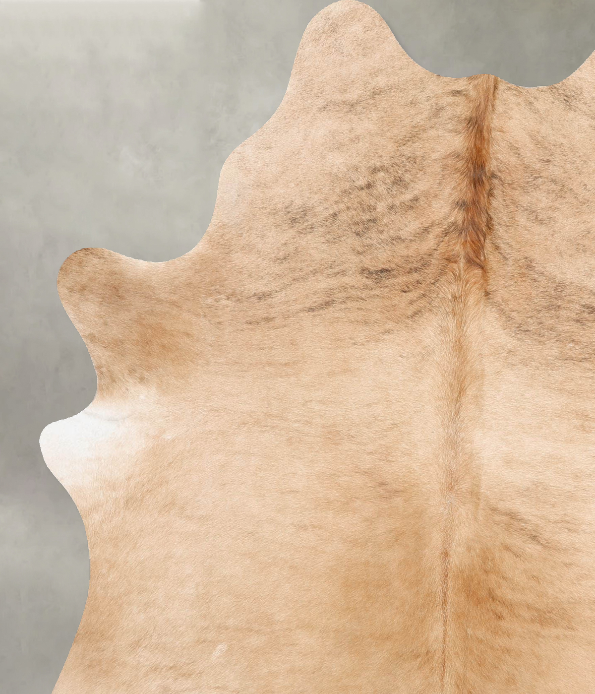 Light Brindle Large Brazilian Cowhide Rug 7'2"H x 5'7"W #B30296 by Hudson Hides
