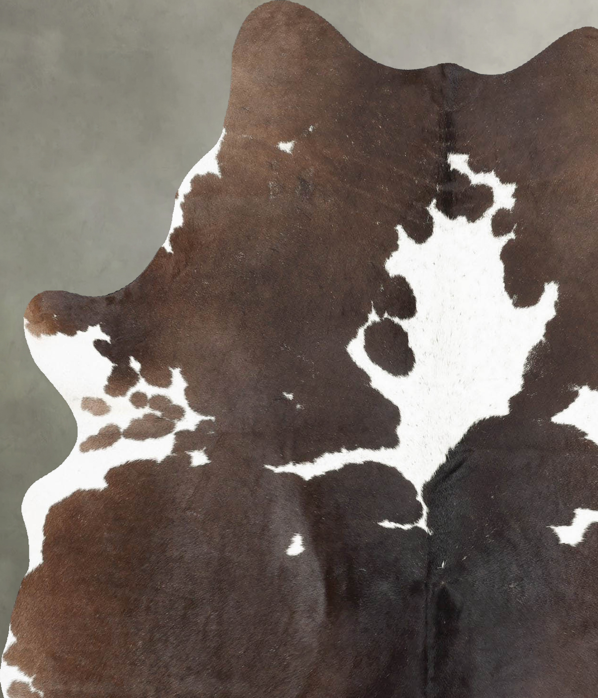 Chocolate and White Large Brazilian Cowhide Rug 6'2"H x 4'11"W #B30297 by Hudson Hides