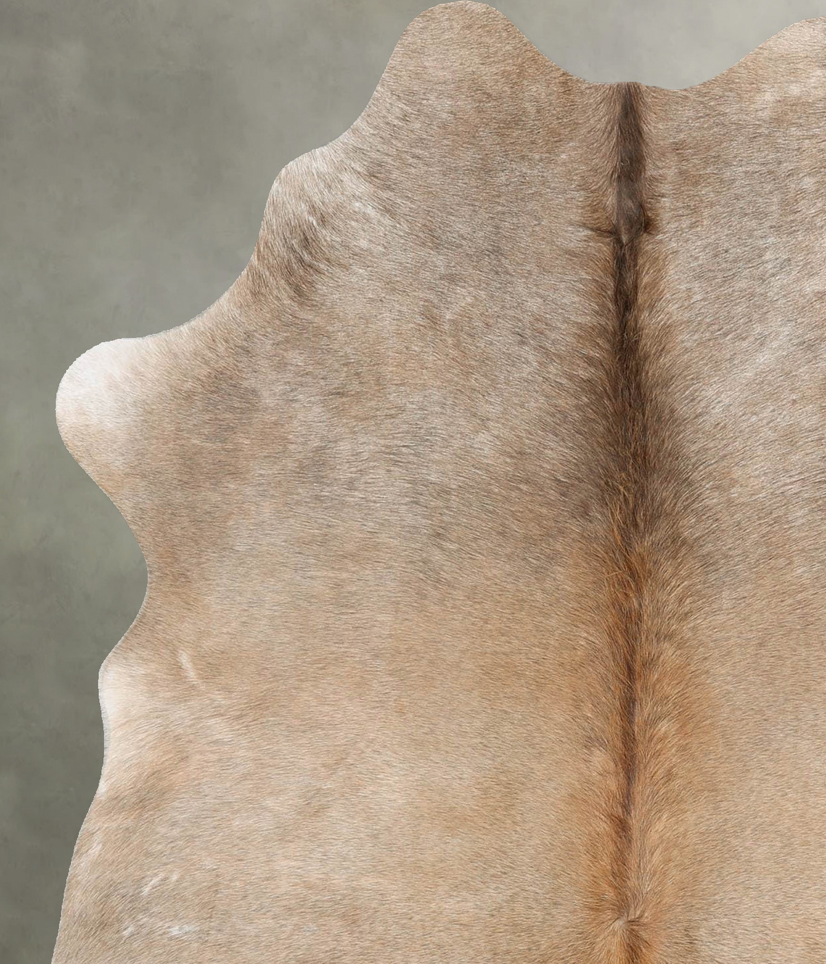 Light Caramel Medium Brazilian Cowhide Rug 5'8"H x 4'11"W #B30298 by Hudson Hides