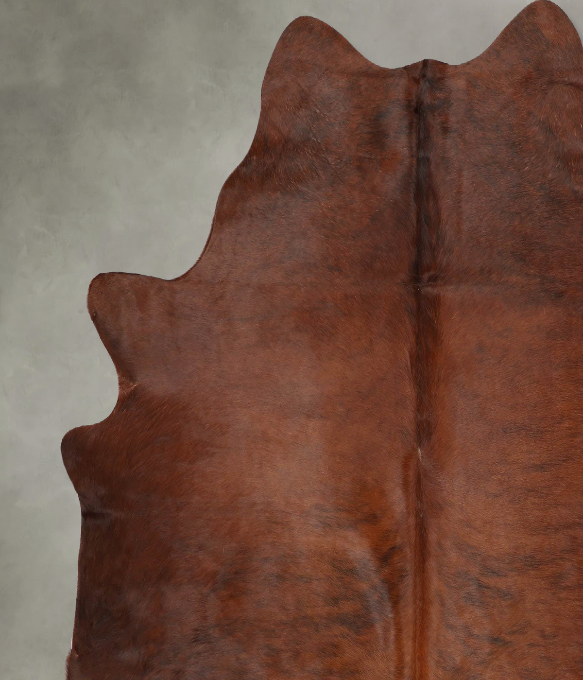 Medium Brindle X-Large Brazilian Cowhide Rug 7'1"H x 6'5"W #B30303 by Hudson Hides
