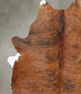 Medium Brindle X-Large Brazilian Cowhide Rug 7'2"H x 6'2"W #B30305 by Hudson Hides