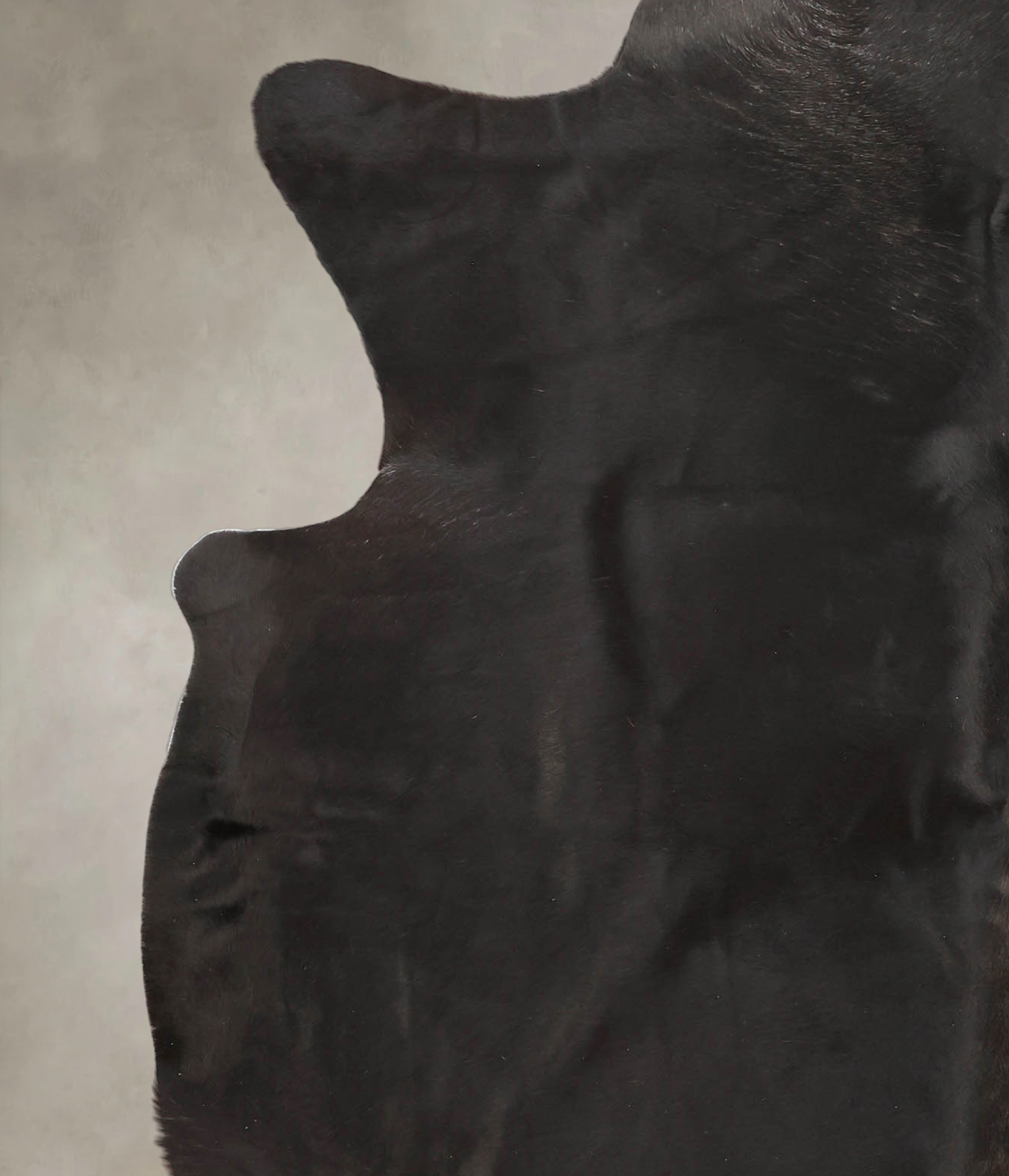 Solid Black Cowhide Rug #B3031