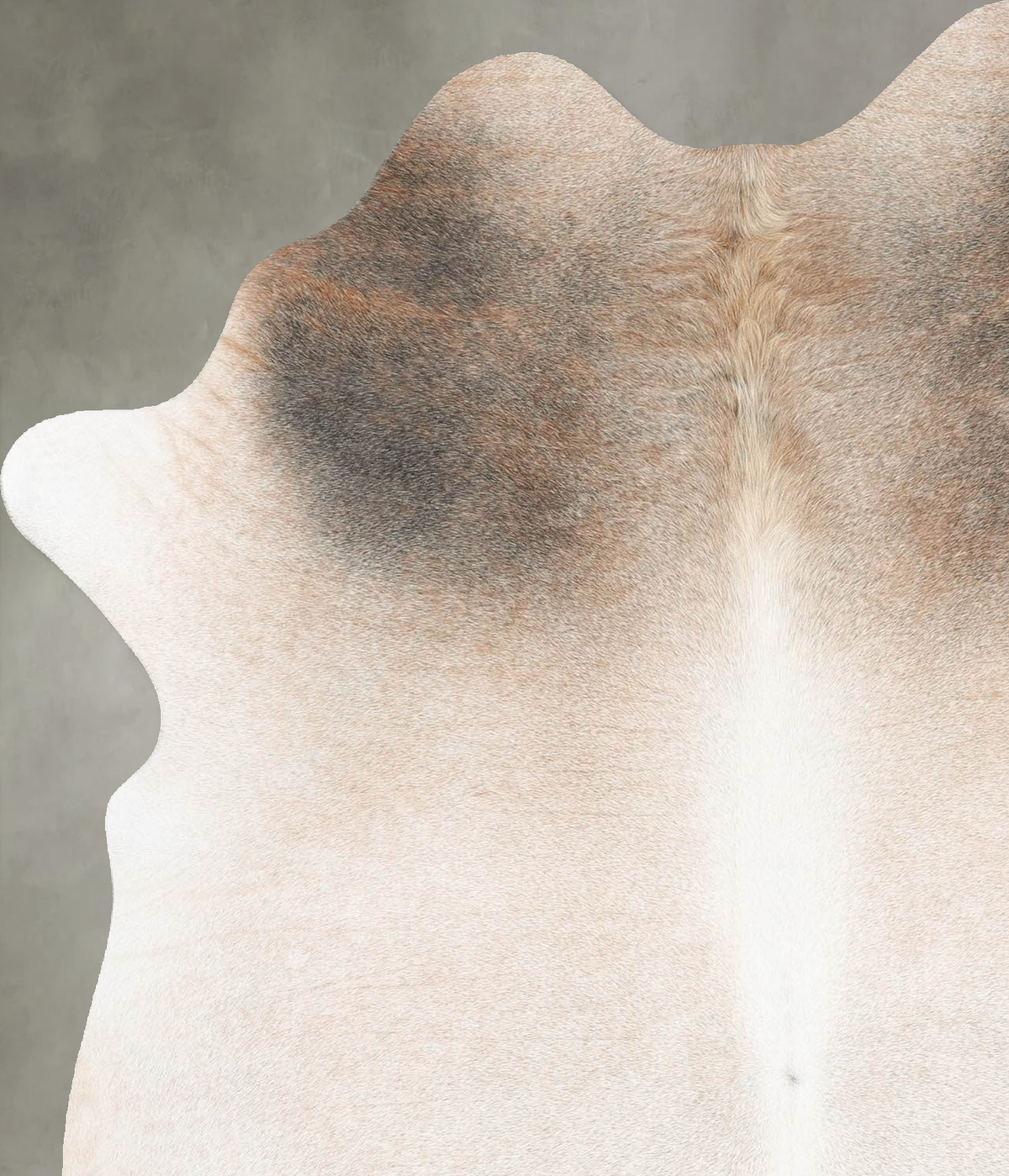 Grey with Beige Large Brazilian Cowhide Rug 6'4"H x 5'1"W #B30314 by Hudson Hides