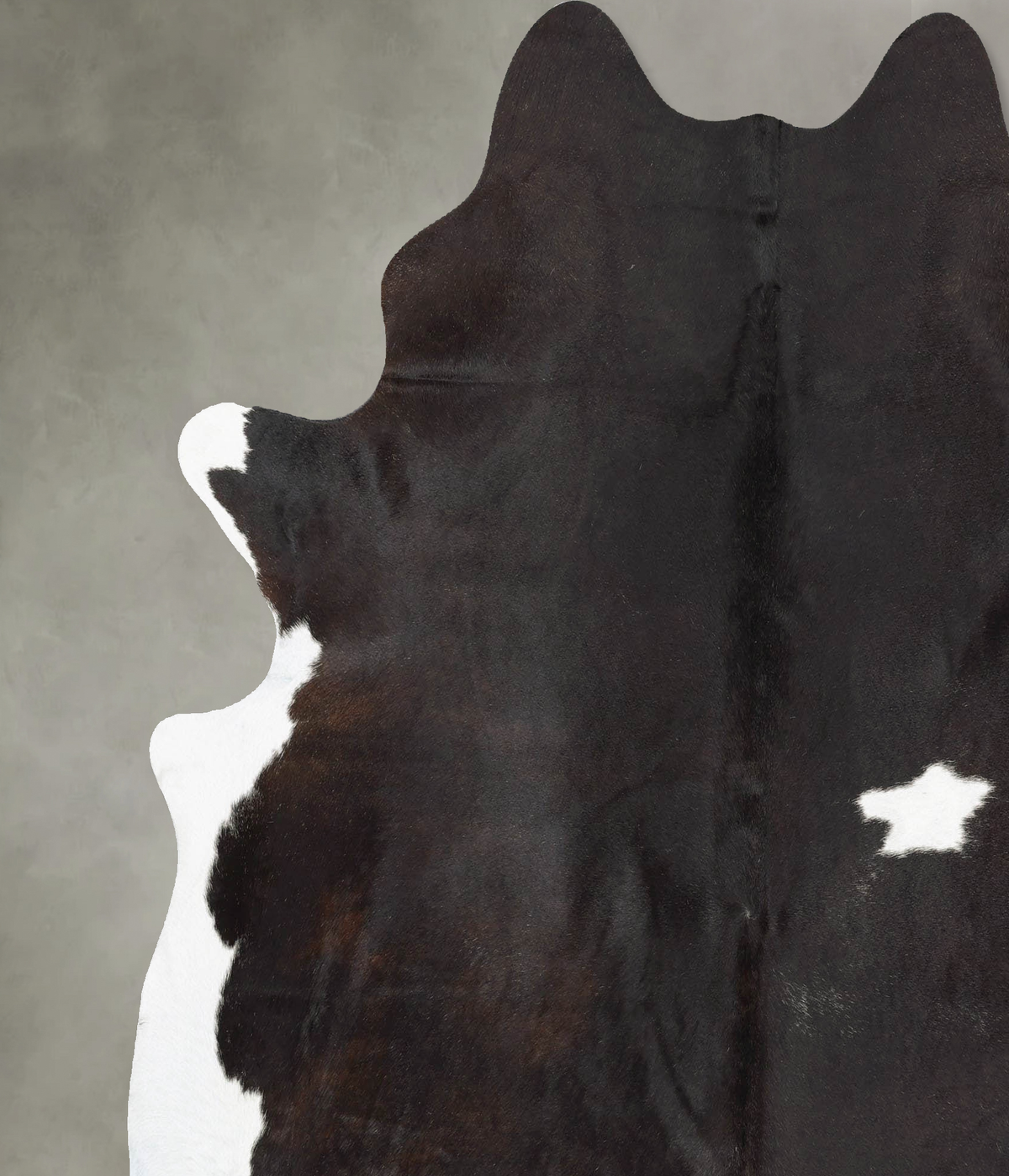 Chocolate and White X-Large Brazilian Cowhide Rug 7'4"H x 6'7"W #B30315 by Hudson Hides
