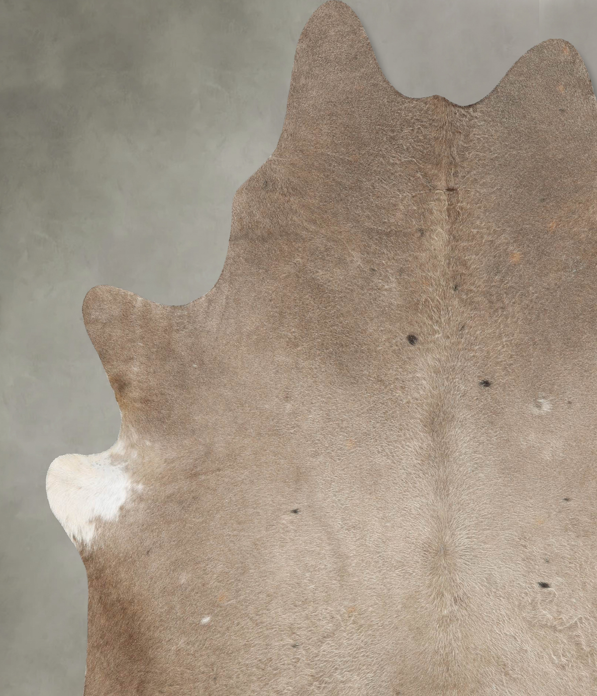 Taupe X-Large Brazilian Cowhide Rug 7'2"H x 6'4"W #B30318 by Hudson Hides