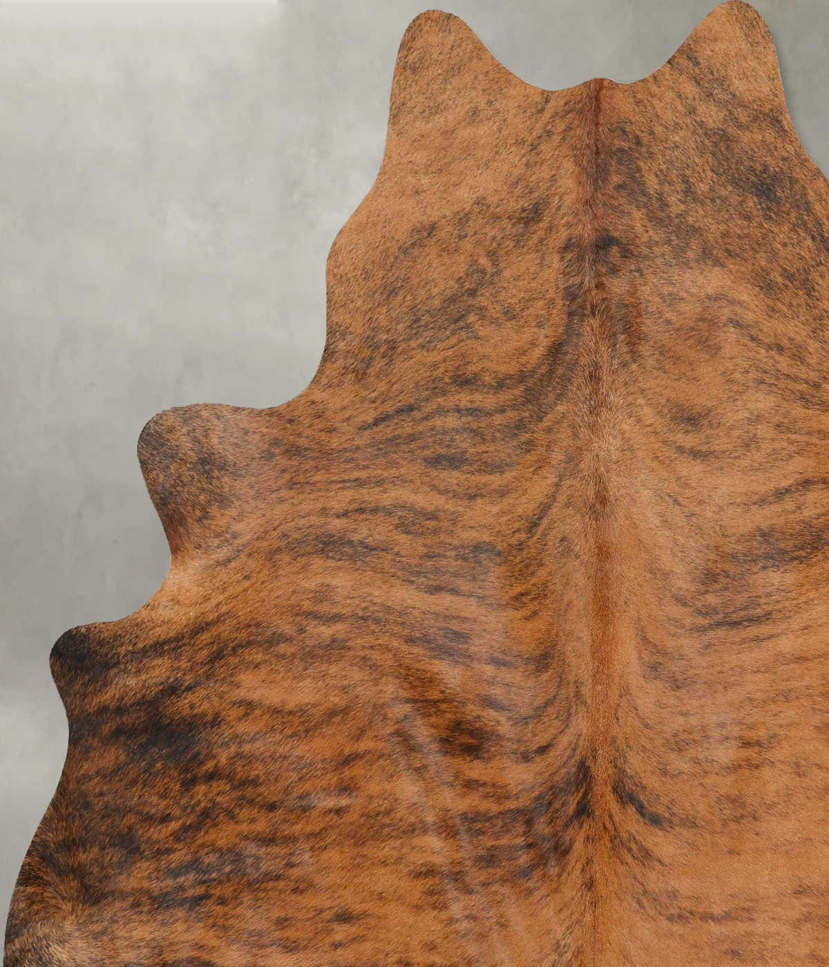 Medium Brindle X-Large Brazilian Cowhide Rug 6'11"H x 6'0"W #B30319 by Hudson Hides