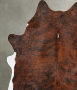 Medium Brindle X-Large Brazilian Cowhide Rug 7'3"H x 6'2"W #B30321 by Hudson Hides