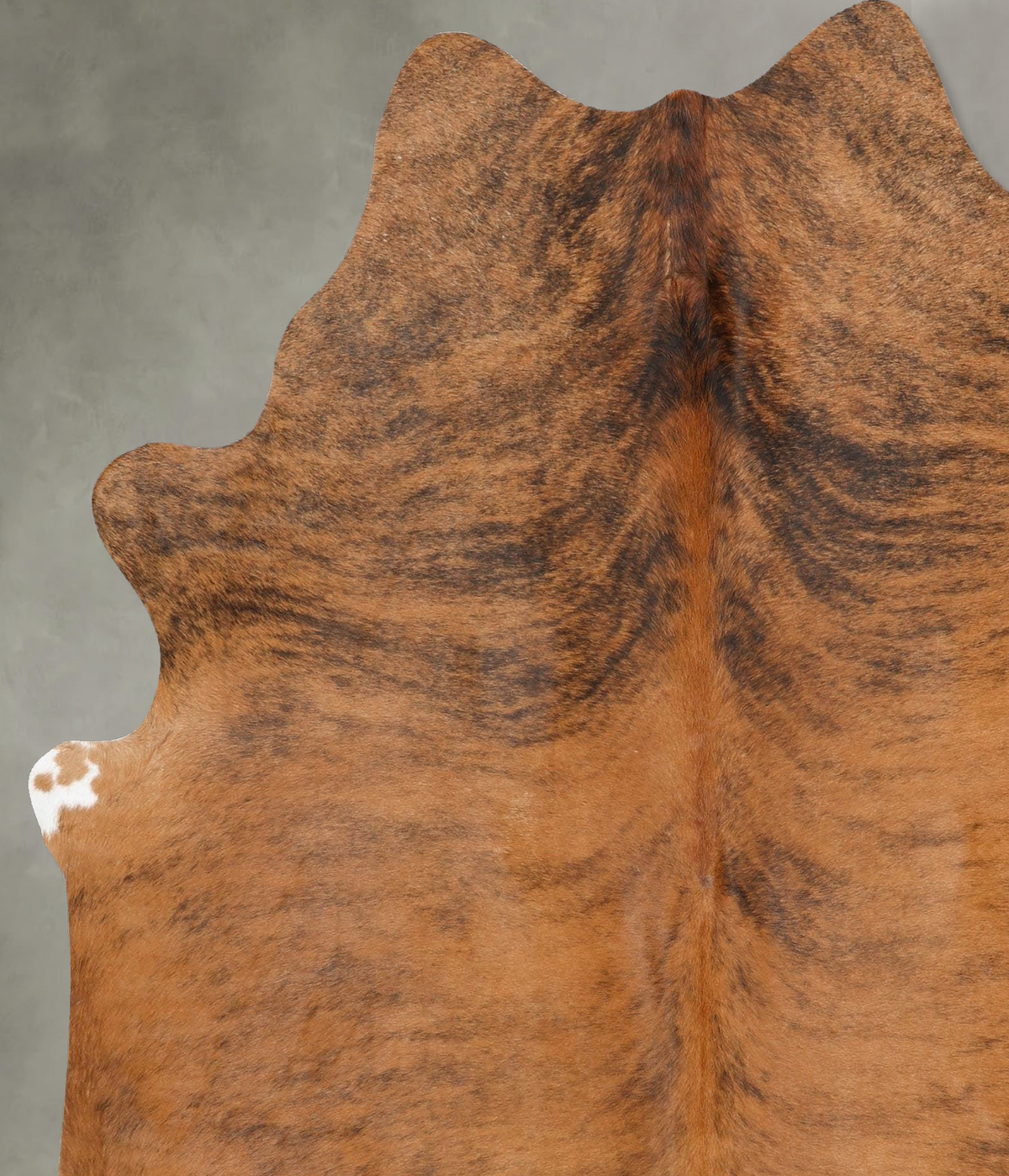 Medium Brindle X-Large Brazilian Cowhide Rug 7'0"H x 6'2"W #B30322 by Hudson Hides