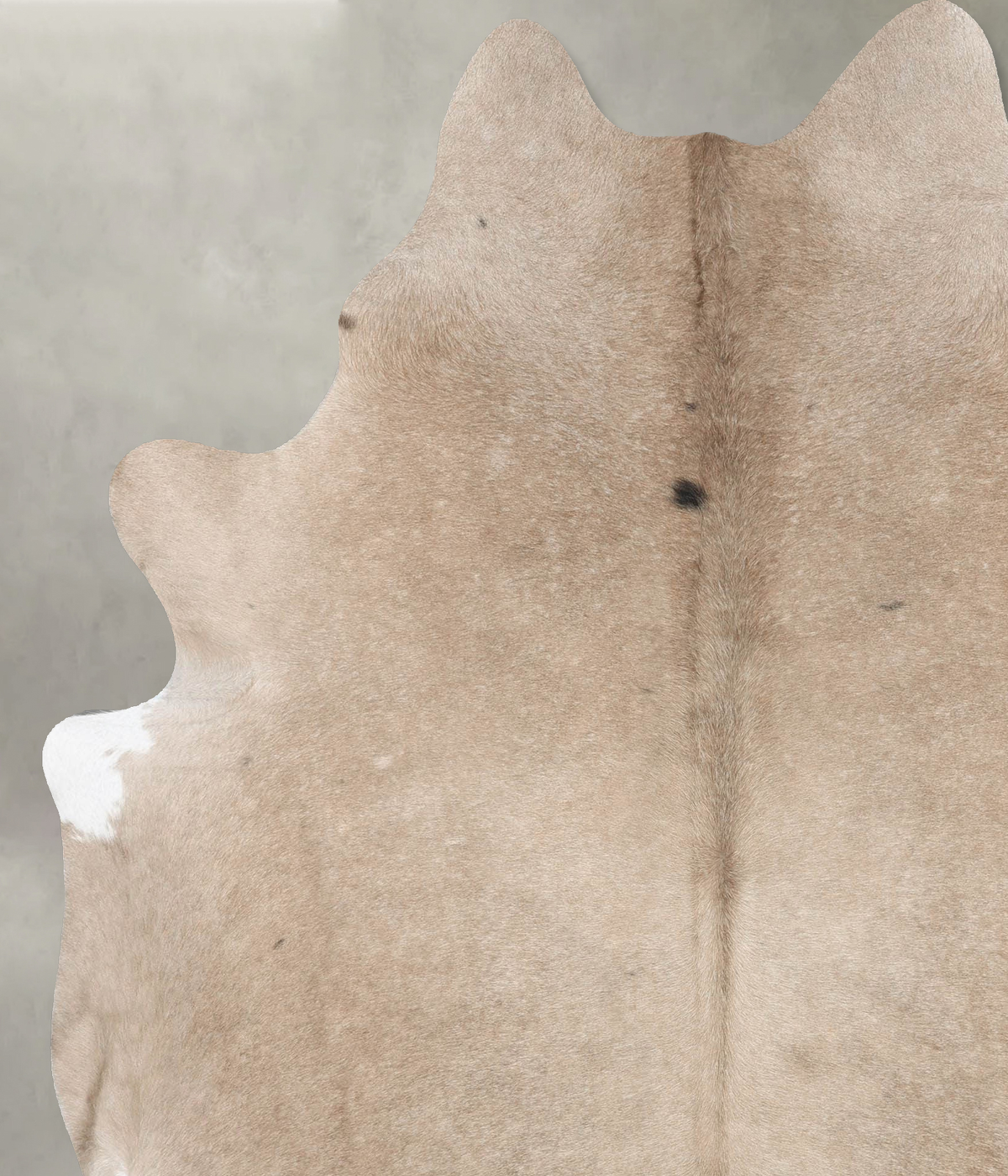 Champagne X-Large Brazilian Cowhide Rug 7'5"H x 6'6"W #B30331 by Hudson Hides